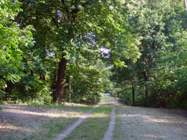 Foto: Loe Giesen