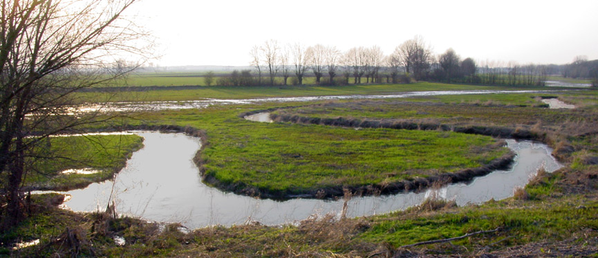 Foto: Loe Giesen