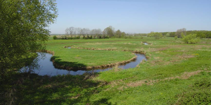 Foto: Loe Giesen
