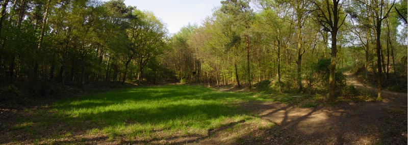 Foto: Loe Giesen