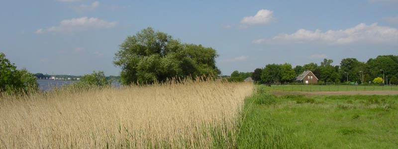 Foto: Loe Giesen