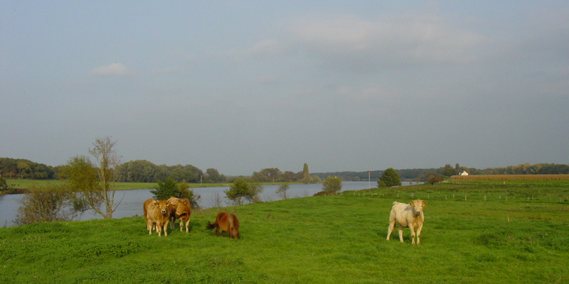 Foto: Loe Giesen