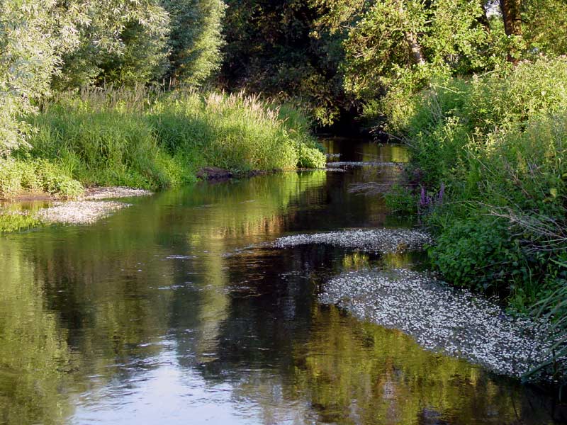 © Loe Giesen, Reuver