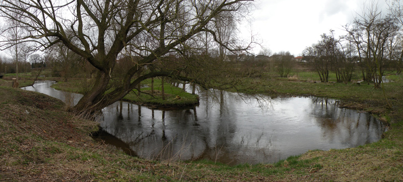 Foto © Loe Giesen, Reuver.