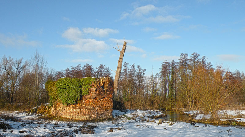 Ruïne de Naborch in de sneeuw. Foto © Loe Giesen, Reuver.