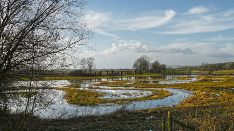 Rookhuizen, februari 2011. Foto © Loe Giesen, Reuver.