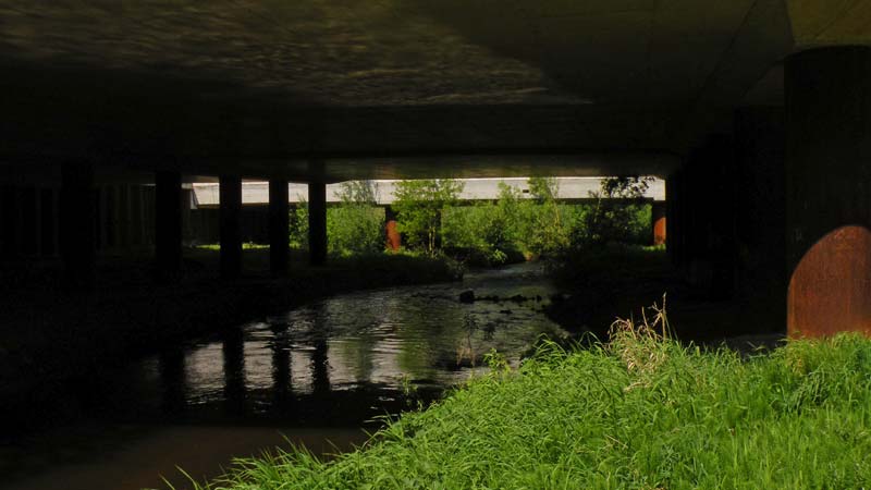 Foto © Loe Giesen, Reuver.