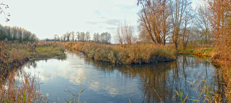 Foto © Loe Giesen, Reuver.