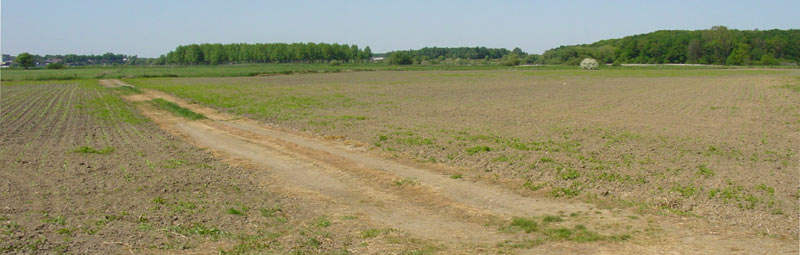 Foto: Loe Giesen