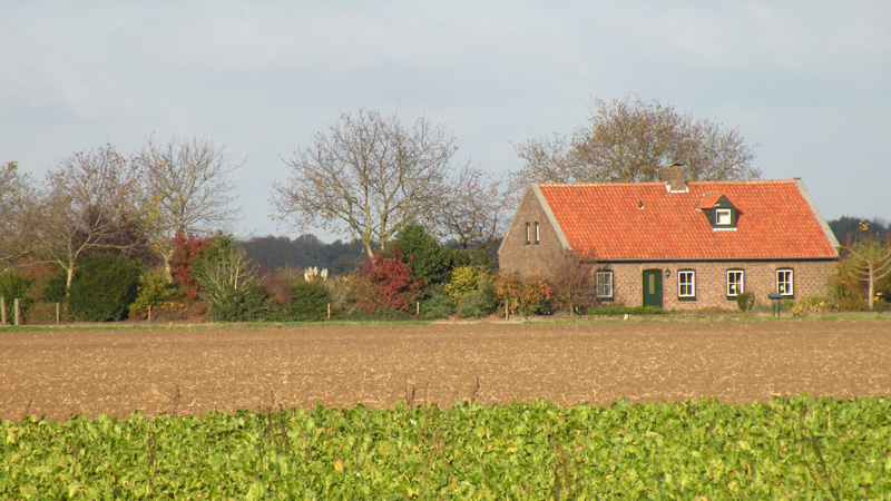 Foto: Loe Giesen, 2009.